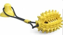 Unbranded Pet Dog Toy Brosse à Dents Mâcher Jouet Pour Chiens Petits Gros Jouets Chiots Jouets Ventouses (Bleu) 5 Unbranded Pet Dog Toy Brosse à Dents Mâcher Jouet Pour Chiens Petits Gros Jouets Chiots Jouets Ventouses (Bleu) -Pet Soin 316912156 max