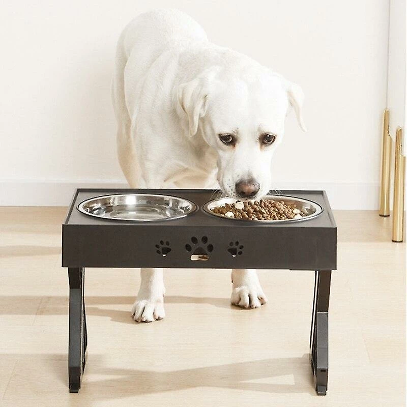 Unbranded Antidérapant Double Dog Bowls Réglables Hauteur Pet Feeding Dish Feeding 4 Unbranded Antidérapant Double Dog Bowls Réglables Hauteur Pet Feeding Dish Feeding – Image 4
