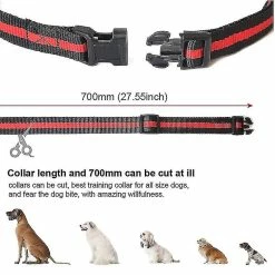 DEWENWILS Dww-waterproof Dog Training Collar Pet 500m Télécommande Rechargeable Rouge -Pet Soin 318041790 max