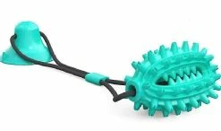 Unbranded Pet Dog Toy Brosse à Dents Mâcher Jouet Pour Chiens Petits Gros Jouets Chiots Jouets Ventouses (vert) -Pet Soin 318430434 max