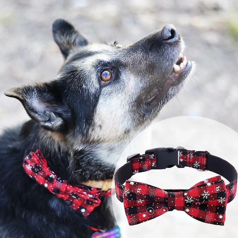 Toyvian 1pc Nylon Dog Collar Pet Collar Durable Réglable Portative Personnalisé Imprimé Chat Chien Colliers Pour Animaux 2 Toyvian 1pc Nylon Dog Collar Pet Collar Durable Réglable Portative Personnalisé Imprimé Chat Chien Colliers Pour Animaux – Image 2