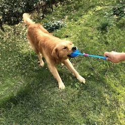 Yskaze 3/6 Pcs Pet Squeaky Chewing Balls, Dog Soft Stab Balls Nettoyage Des Dents Toys Balls, Pour Petit Moyen Grand Chien Chien Cat Toys, Bleu / Orange / Vert -Pet Soin 322597605 max