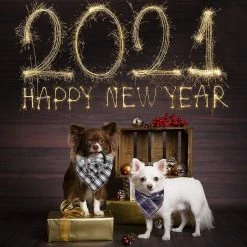 Yskaze Bandanas Pour Chiens - Cadeau D’anniversaire Lavable Square Plaid Impression Dog Bib Double Foulard Réversible Foulard Accessoires Réglables Pour Petit à Grand Chiot De Chien -Pet Soin 322604007 max