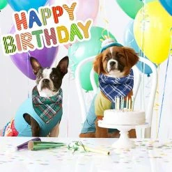 Yskaze Bandanas Pour Chiens - Cadeau D’anniversaire Lavable Square Plaid Impression Dog Bib Double Foulard Réversible Foulard Accessoires Réglables Pour Petit à Grand Chiot De Chien -Pet Soin 322604008 max