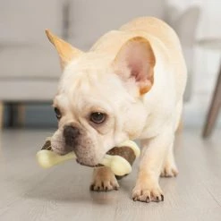 Unbranded 3Pcs Pet Molar Toy, Chew Toys Interactive Dog Bones Toys Pour Le Nettoyage Des Dents De Chien 9 Unbranded 3Pcs Pet Molar Toy, Chew Toys Interactive Dog Bones Toys Pour Le Nettoyage Des Dents De Chien -Pet Soin 330470022 max