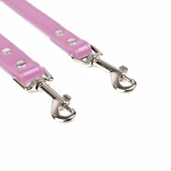 Yskaze Dog Leash - Laisse Pour Chien Pour Chiens / Chats De Taille Moyenne S’entraînant à Marcher Et à Courir -Pet Soin 360453125 max