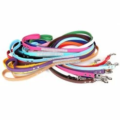 Yskaze Dog Leash - Laisse Pour Chien Pour Chiens / Chats De Taille Moyenne S’entraînant à Marcher Et à Courir -Pet Soin 360453269 max
