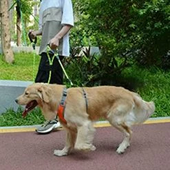 Yskaze Dog Leash Traffic Rembourré Deux Poignées, Fils Réfléchissants Pour La Formation à La Sécurité De Contrôle Pour Les Chiens -Pet Soin 360456500 max