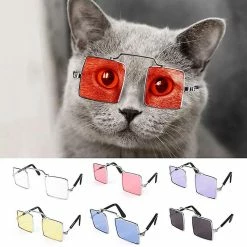 Unbranded Uk Dog Cat Pet Lunettes Pour Animaux De Compagnie Petit Chien Lunettes De Vue Chiot Lunettes De Soleil Photos Accessoires -Pet Soin 370365623 max