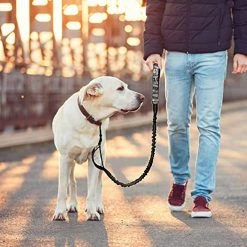 Ksalfye Dog Leash Traffic Rembourré Deux Poignées D’impression, Laisses Réfléchissantes Pour La Formation à La Sécurité De Contrôle 7 Ksalfye Dog Leash Traffic Rembourré Deux Poignées D’impression, Laisses Réfléchissantes Pour La Formation à La Sécurité De Contrôle -Pet Soin 373974286 max