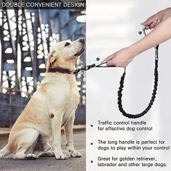 Ksalfye Dog Leash Traffic Rembourré Deux Poignées D’impression, Laisses Réfléchissantes Pour La Formation à La Sécurité De Contrôle 8 Ksalfye Dog Leash Traffic Rembourré Deux Poignées D’impression, Laisses Réfléchissantes Pour La Formation à La Sécurité De Contrôle -Pet Soin 373974306 max