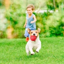 Ksalfye Jouet Pour Chien, Bouncing Ball Dog, Jouet Interactif Pour Chien, Boule De Chien Indestructible, Jouet Nettoyant Pour Dents De Chien En Caoutchouc Naturel, Pour Chiots 8 Ksalfye Jouet Pour Chien, Bouncing Ball Dog, Jouet Interactif Pour Chien, Boule De Chien Indestructible, Jouet Nettoyant Pour Dents De Chien En Caoutchouc Naturel, Pour Chiots -Pet Soin 375149132 max