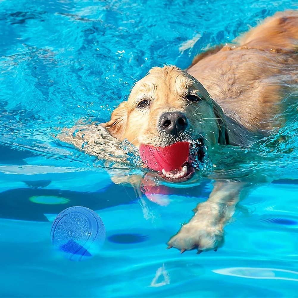 Ksalfye Jouet Pour Chien, Bouncing Ball Dog, Jouet Interactif Pour Chien, Boule De Chien Indestructible, Jouet Nettoyant Pour Dents De Chien En Caoutchouc Naturel, Pour Chiots 5 Ksalfye Jouet Pour Chien, Bouncing Ball Dog, Jouet Interactif Pour Chien, Boule De Chien Indestructible, Jouet Nettoyant Pour Dents De Chien En Caoutchouc Naturel, Pour Chiots – Image 5