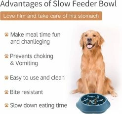Ersam Dog Bowl Dog Slow Feeder Bowls Bloat Stop Food Bowl Puzzle Interactif Healthy Eating Bowl -Pet Soin 377729733 max