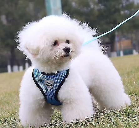 Unbranded Dog Car Vest Harness Seatbelt Set, Dog Car Adjustable Pet Harness With Safety Seat Belt, Double Respirable Mesh Fabric Harness For Small Medium Large 4 Unbranded Dog Car Vest Harness Seatbelt Set, Dog Car Adjustable Pet Harness With Safety Seat Belt, Double Respirable Mesh Fabric Harness For Small Medium Large – Image 4