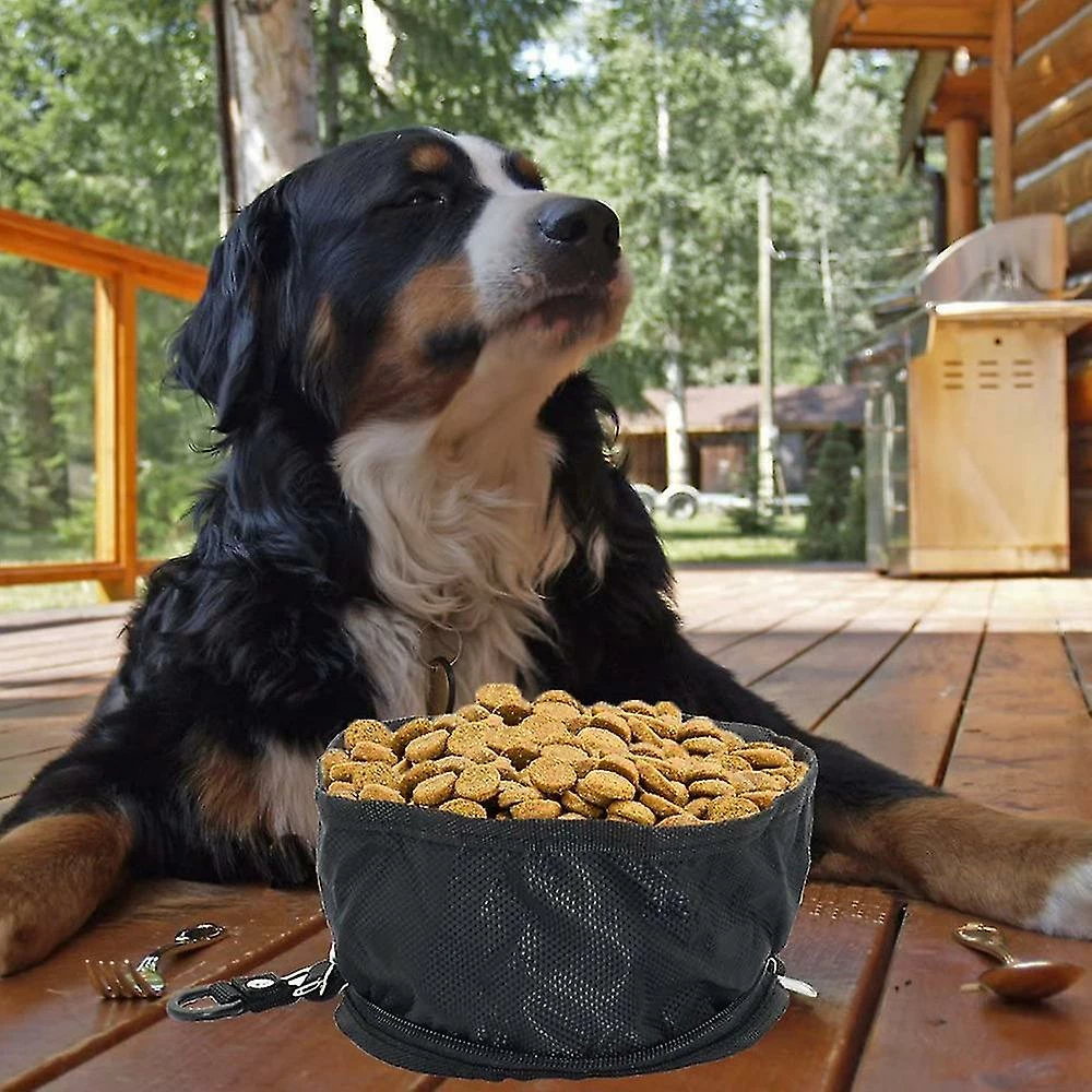 Unbranded 2pcs Imperméable à L’eau Voyage Dog Bowls Pet Bowls Bols Pliables 4 Unbranded 2pcs Imperméable à L’eau Voyage Dog Bowls Pet Bowls Bols Pliables – Image 4