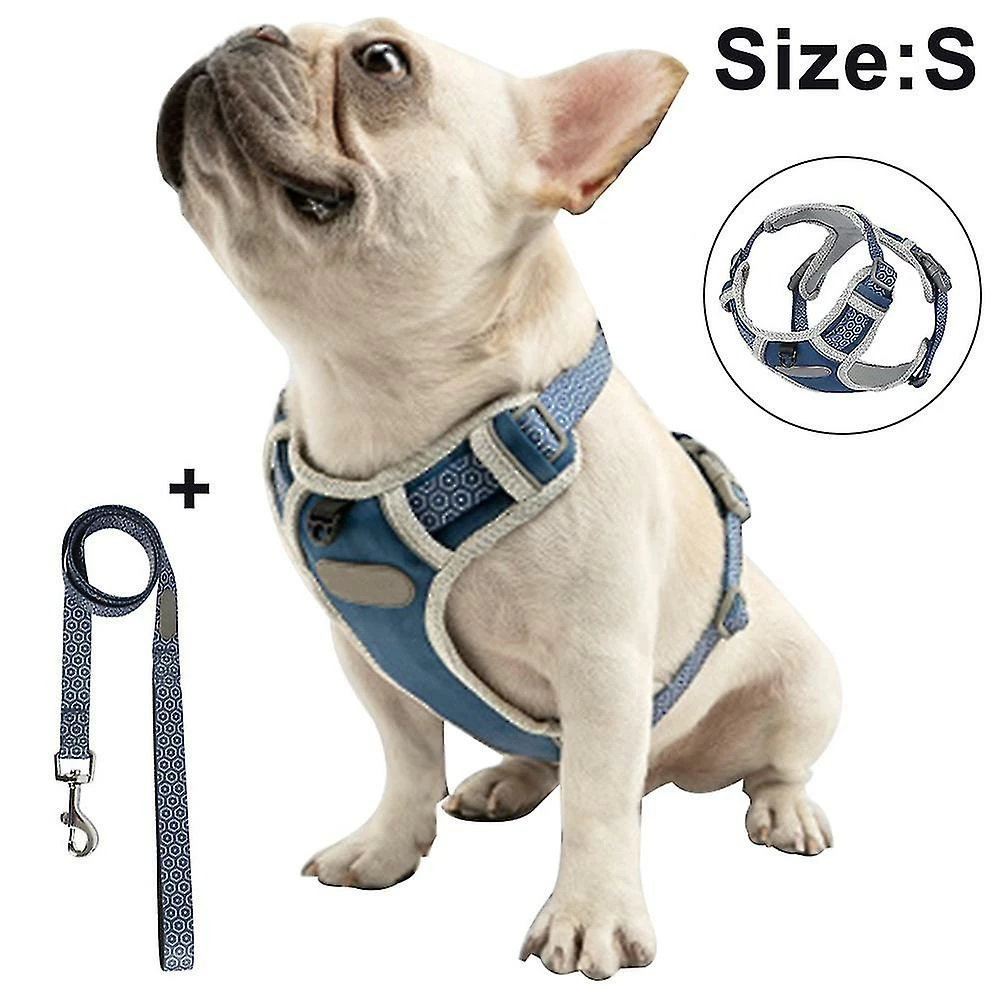 Unbranded Dog Chest Harness Traction Corde Gilet Respirant Pour Animaux De Compagnie 1 Unbranded Dog Chest Harness Traction Corde Gilet Respirant Pour Animaux De Compagnie