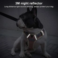 Unbranded Dog Chest Harness Traction Corde Gilet Respirant Pour Animaux De Compagnie 8 Unbranded Dog Chest Harness Traction Corde Gilet Respirant Pour Animaux De Compagnie -Pet Soin 389270117 max