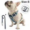 Unbranded Dog Chest Harness Traction Corde Gilet Respirant Pour Animaux De Compagnie