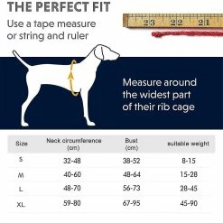 Unbranded Dog Chest Harness Traction Corde Gilet Respirant Pour Animaux De Compagnie 9 Unbranded Dog Chest Harness Traction Corde Gilet Respirant Pour Animaux De Compagnie -Pet Soin 389278109 max