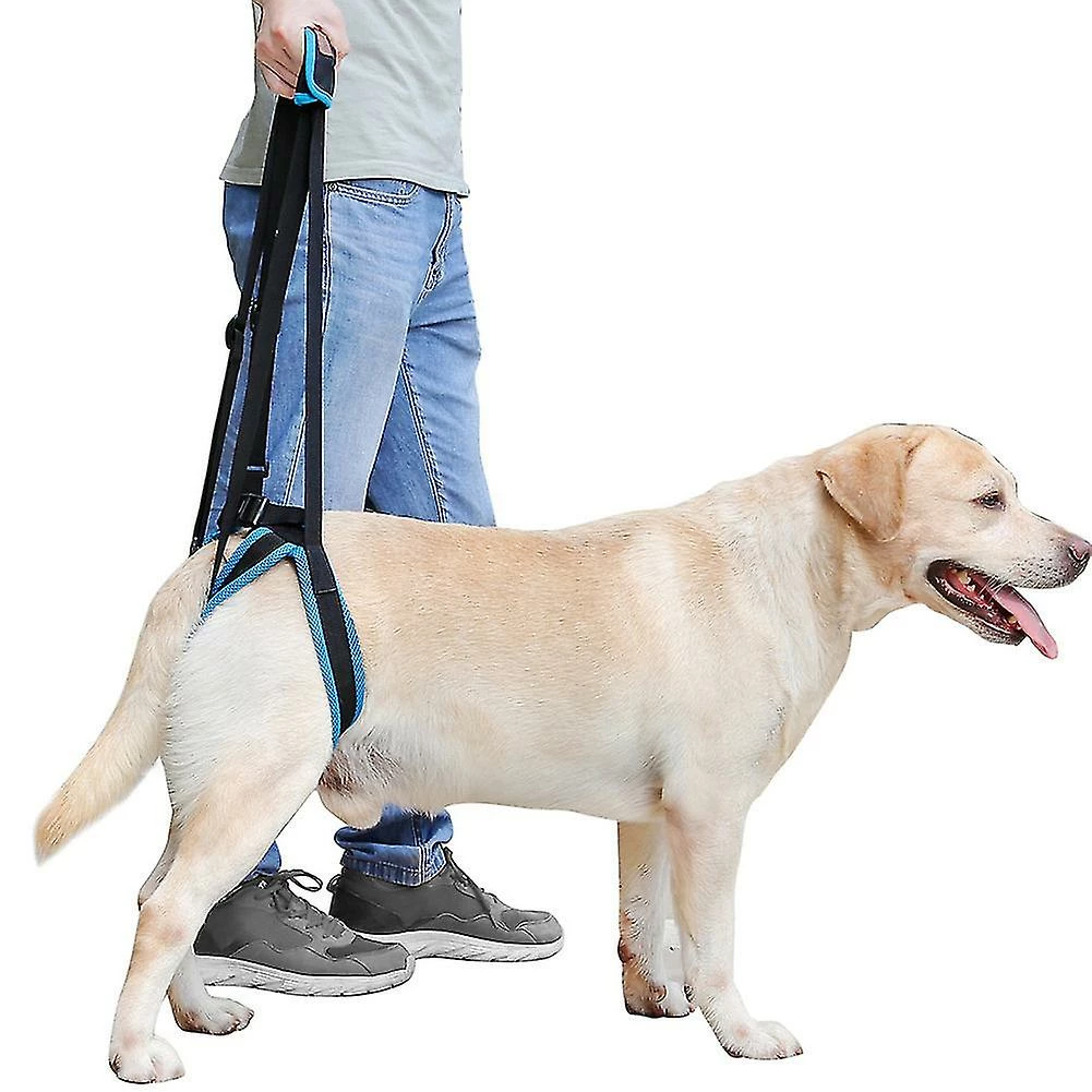 Rtopr Pet Dog Auxiliary Belt Harness Assist Lift Support Rehabilitation Belt Pour Chien Malade âgé 1 Rtopr Pet Dog Auxiliary Belt Harness Assist Lift Support Rehabilitation Belt Pour Chien Malade âgé