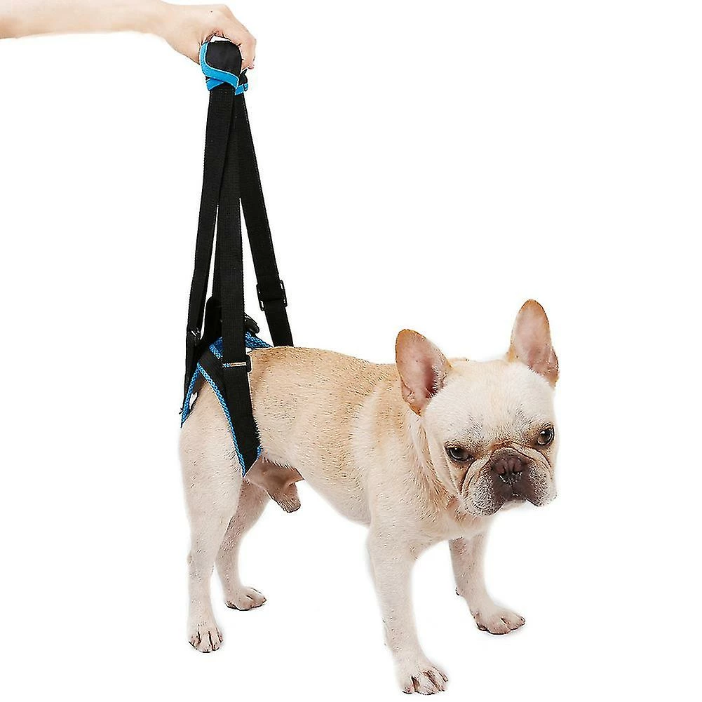 Rtopr Pet Dog Auxiliary Belt Harness Assist Lift Support Rehabilitation Belt Pour Chien Malade âgé 4 Rtopr Pet Dog Auxiliary Belt Harness Assist Lift Support Rehabilitation Belt Pour Chien Malade âgé – Image 4