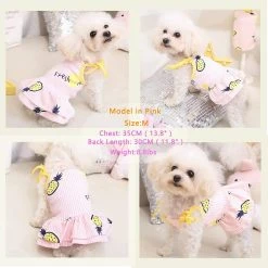 Ksalfye 2 Pack Dog Shirt Jupe Rayé Imprimé T-Shirts Coton Gilet Plissé Vêtements Chiot Vêtements D’été Mignon Fille Garçon Tops Doux Pet Vêtements Pour Petit Moi -Pet Soin 397442826 max