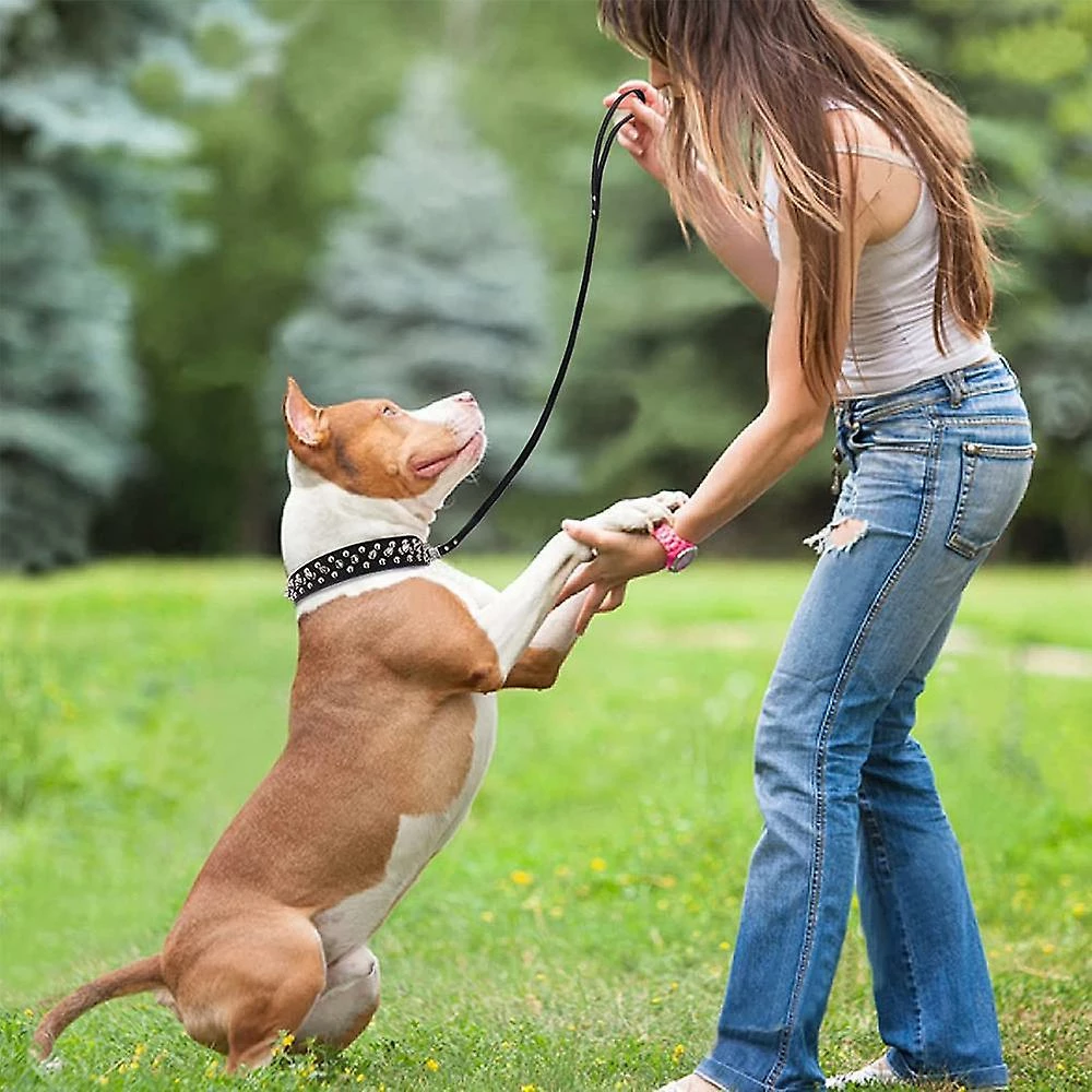 Giveuphesit Spike Dog Collar - Collier Pour Chien En Cuir à La Mode Pour Chiens Moyens Et Grands 4 Giveuphesit Spike Dog Collar - Collier Pour Chien En Cuir à La Mode Pour Chiens Moyens Et Grands – Image 4