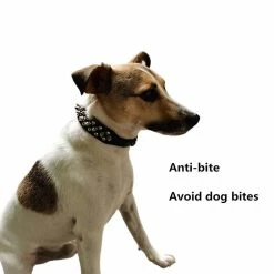 Giveuphesit Spike Rivet Rivet Dog Collar Réglable Pu Cuir Sangle Travel Bowl Cadeau -Pet Soin 402082620 max