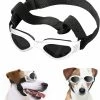 Unbranded Lunettes De Soleil Pour Petits Chiens Lunettes De Protection Uv Lunettes De Protection Des Yeux Avec Sangle Réglable Lunettes De Soleil Pliables Pour Animaux De Compagnie Lunettes De Soleil Imperméables Pour Chiens Lunettes De Soleil Pour Animaux De Compagnie Dog W