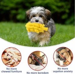 Unbranded Squeak Toy Chew Dog Pig Brosse à Dents Interactive Pour Animal De Taille Moyenne (jaune -Pet Soin 416932552 max