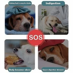 Unbranded Slow Feeder Dog Bowl Anti-irrigation Alimentation Saine Interactif - C -Pet Soin 423490513 max