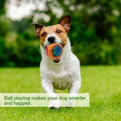 Lyded Led Dog Ball, Light Up Dog Ball Activé Par Rebond, S’allume Compatible Avec Night Play Pet Dog Ballinteractive Dog Toy Color Changing Led 7 Lyded Led Dog Ball, Light Up Dog Ball Activé Par Rebond, S’allume Compatible Avec Night Play Pet Dog Ballinteractive Dog Toy Color Changing Led -Pet Soin 424647470 max