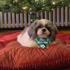 Unbranded 2 Pack Christmas Dog Plaid Bandana, Pet Dog Puppy Holiday Scarf, Adjustable Cute Dog Christmas Outfit -Pet Soin 434364963 max