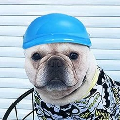 Unbranded 10cm Pet Dog Doggie Hardhat Pour Protéger La Tête 9 Unbranded 10cm Pet Dog Doggie Hardhat Pour Protéger La Tête -Pet Soin 434365711 max