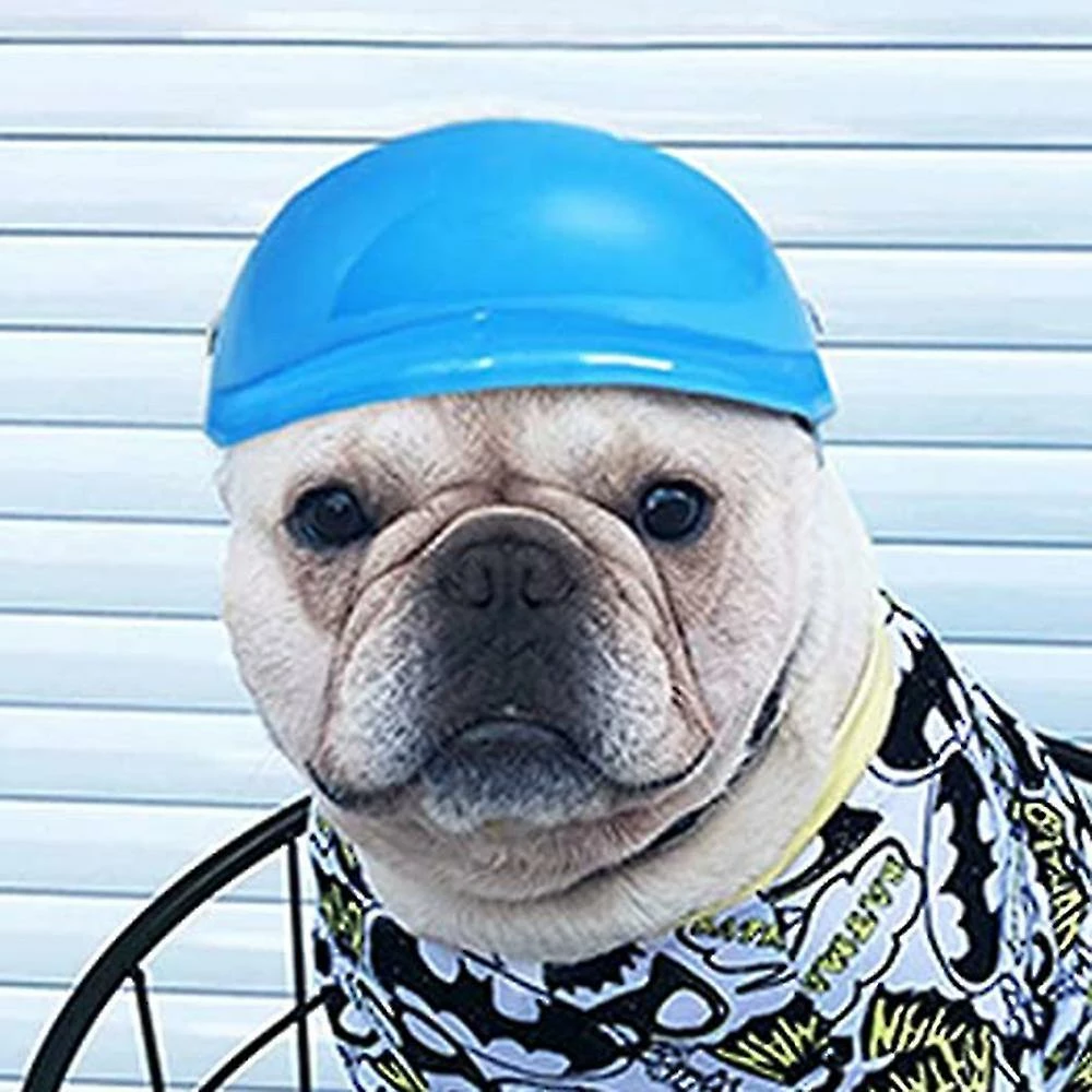 Unbranded 10cm Pet Dog Doggie Hardhat Pour Protéger La Tête 5 Unbranded 10cm Pet Dog Doggie Hardhat Pour Protéger La Tête – Image 5