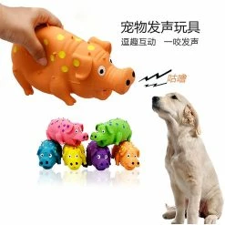Unbranded Grunting Latex Rubber Dog Toy Dotted Pig, 10 « Latex Dog Chew Toys With Sound Sound Oinks Growling Pig Dog Toy 7 Unbranded Grunting Latex Rubber Dog Toy Dotted Pig, 10 « Latex Dog Chew Toys With Sound Sound Oinks Growling Pig Dog Toy -Pet Soin 437533328 max