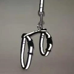 Unbranded Cat Dog Collar Harness Leash Réglable Nylon Pet Traction Cat Kitten Halter Collar Cats Products Reflective Pet Harness Belt -Pet Soin 437792225 max