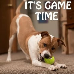 Baicccf 4.13 '' Jouets Pour Chiens Grinçants Smiley Face Dog Balls Avec Squeaker Rubber Latex Pet Toys Pour Petits Chiots De Moyenne Et Grande Race -Pet Soin 449761399 max