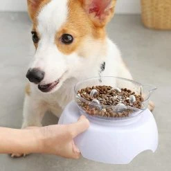 Baicccf Double Cat Dog Bowls Elevated Cat Food Water Bowls With Raised Stand 15 Tilted Raised Slow Feeder Bowl Distributeur D’eau Sans Stress Pour Les Chats Et Les Petits -Pet Soin 449767902 max