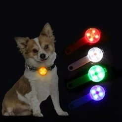 Hxetlv Led Dog Leashes Pendentif Éclairage Réglable Collier Usb Rechargeable Lumineux Pet Safe Soft