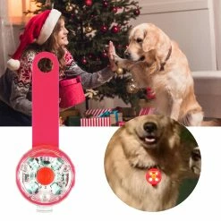 Hxetlv Led Dog Leashes Pendentif Éclairage Réglable Collier Usb Rechargeable Lumineux Pet Safe Soft -Pet Soin 464319016 max