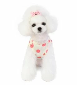Giveuphesit Robe De Chien Jupe De Chien Pour Petits Chiens Avec Impression De Fleurs Tulle Doggie Sundress Cat Dress Dog Apparel -Pet Soin 475706148 max