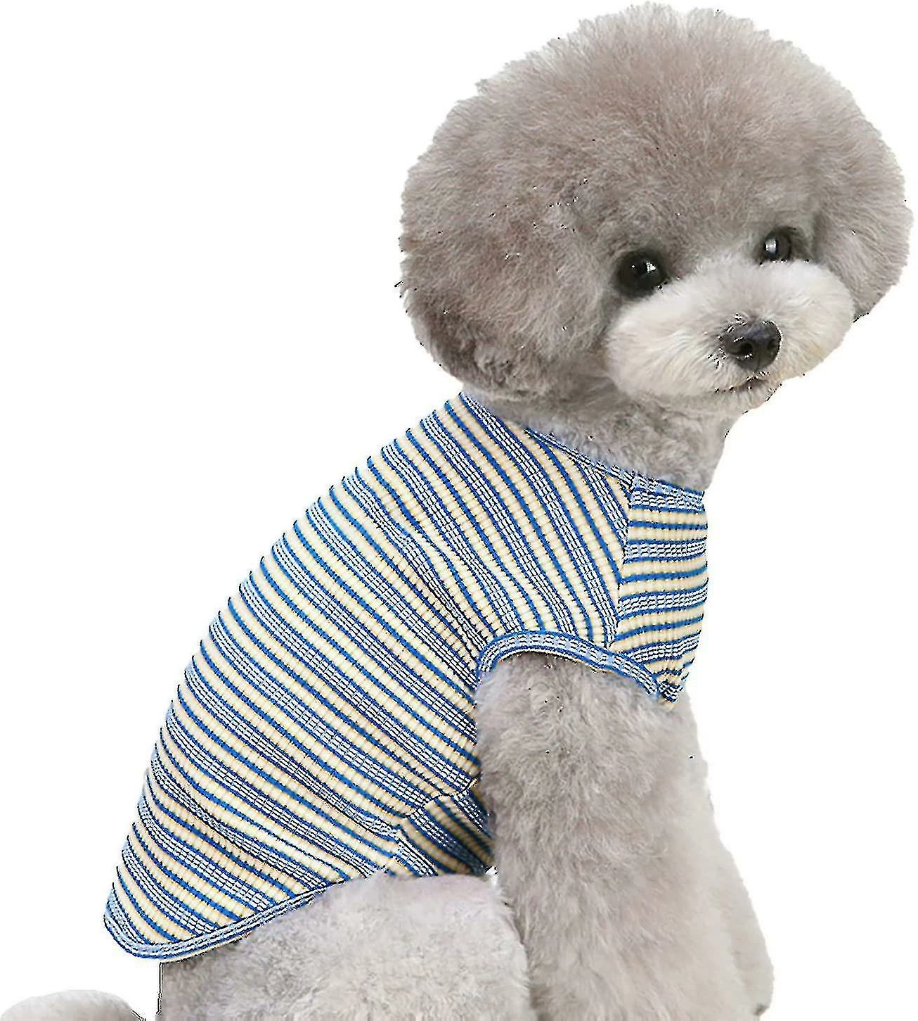 Unbranded Coloré Rayé Chien Tshirt Respirant Pet Vest Sleeveless Blue Dog S 1 Unbranded Coloré Rayé Chien Tshirt Respirant Pet Vest Sleeveless Blue Dog S