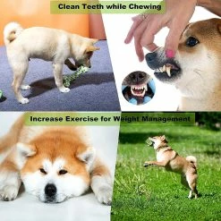 Wonderful 6 Pcs Dog Toy Set Peluche Jouets Animaux De Compagnie, Coton Naturel Non Toxique Inodore Durable Tee -Pet Soin 482290915 max