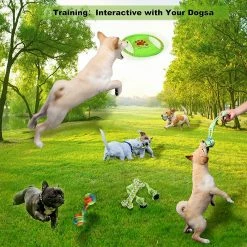 Wonderful 6 Pcs Dog Toy Set Peluche Jouets Animaux De Compagnie, Coton Naturel Non Toxique Inodore Durable Tee -Pet Soin 482290920 max