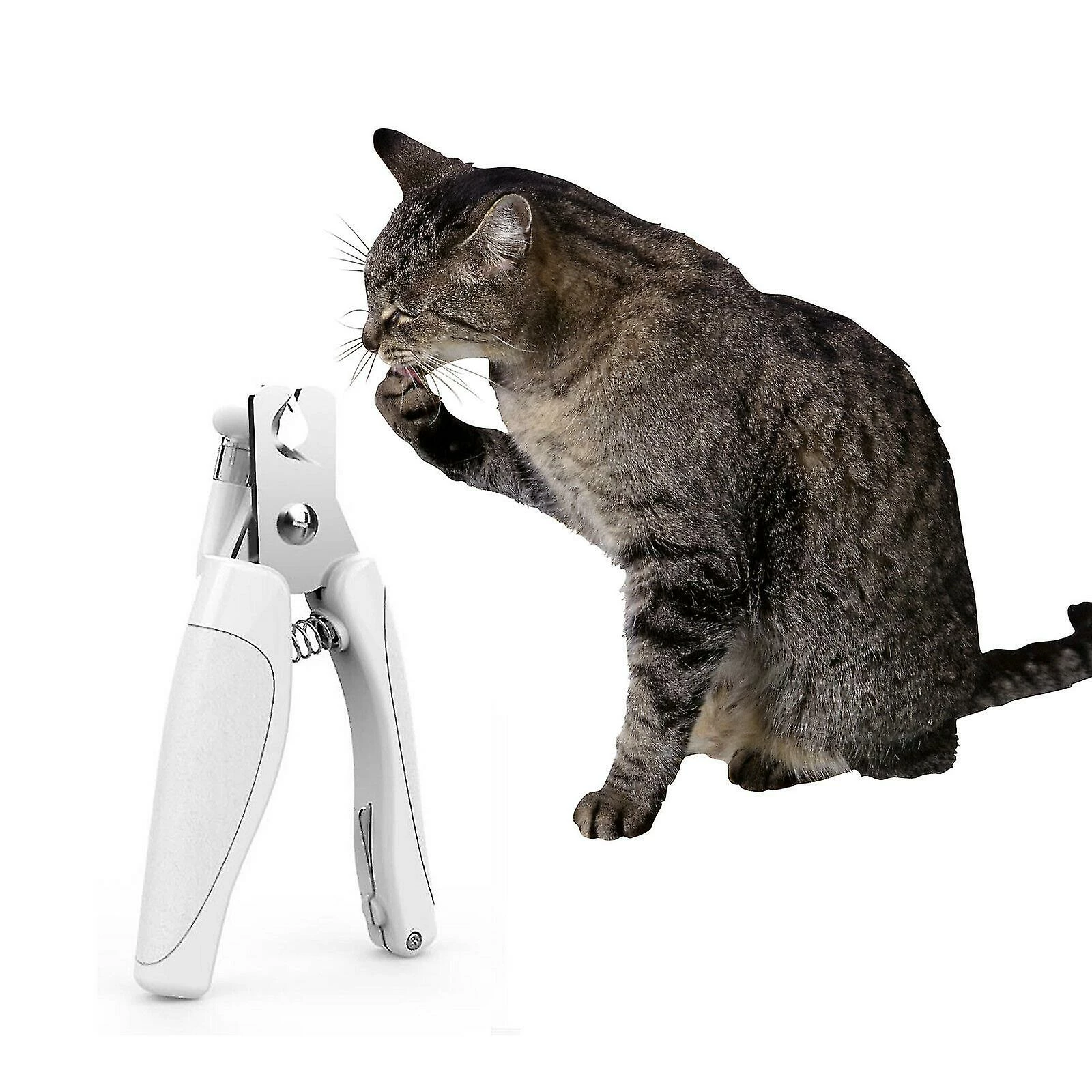 Redmiter Pet Dog Cat Nail Toe Claw Clippers Ciseaux Tondeuse à Cisaillement Outil De Toilettage-cl. 1 Redmiter Pet Dog Cat Nail Toe Claw Clippers Ciseaux Tondeuse à Cisaillement Outil De Toilettage-cl.