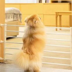 Unbranded Porte De Protection Pour Animaux De Compagnie Anti-blocage Cat And Dog Gate Clôture Intérieure -Pet Soin 493949630 max