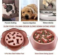 Vention Dog Bowl Slow Feeder Dog Bowls Petit Chien Slow Feeding Dogs Bowl Slow Eating Dog Slow -Pet Soin 494575668 max