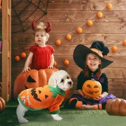 Unbranded Dog Costume Halloween Pumpkin Dog Costume Large Dog Costume For Halloween Pet Cat Dog Clothes -Pet Soin 494817294 max